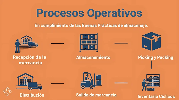 imagen de procesos almalogis